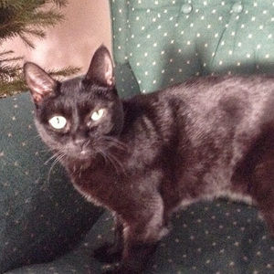 Meet your Posher, Olivia